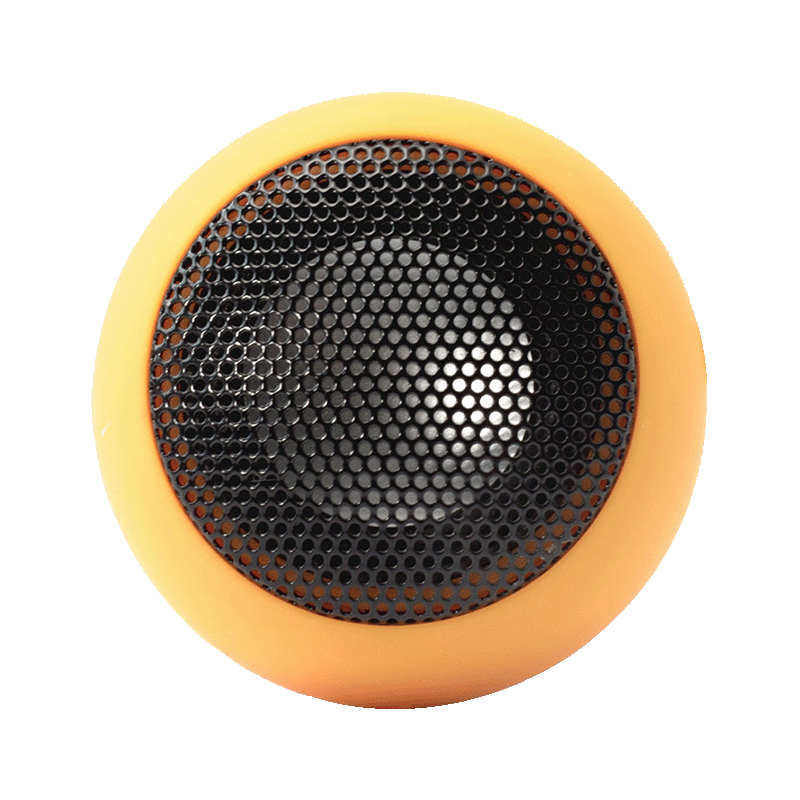 Portable Speaker